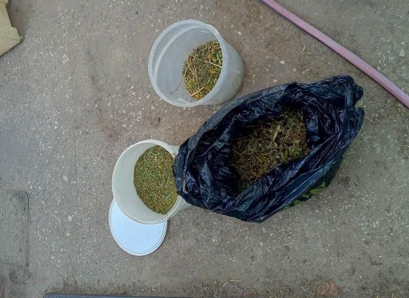 � ���������� ������� ����������� ������ ������ ��������� � �������� ������