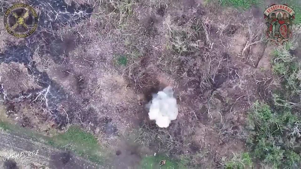 ����������� �������� �������� ����������� ��������� 44 ���� ���