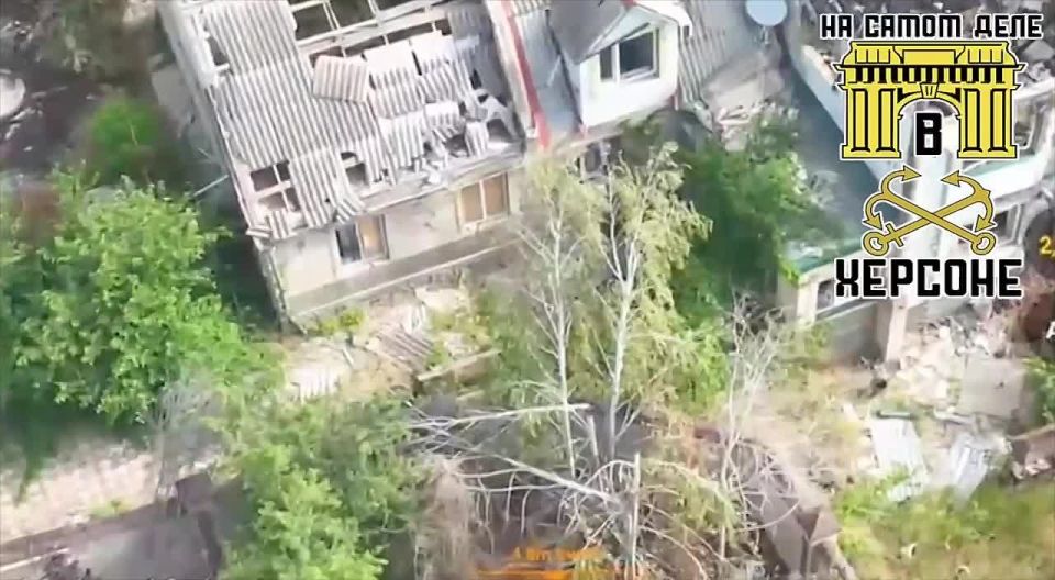 ���������. ���������� �������