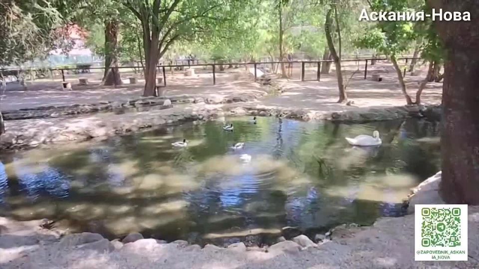 ���� ���� ������� � ��� ��� ������� � ����� �� ����������� ������� ����!