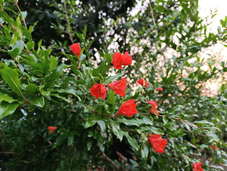 ������ ����, ������ ���������� �������������� ������!