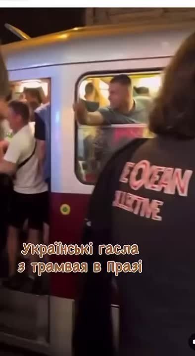 ���� �� �������: ��������� ���������� �������, ������������ ������ � ����� ������