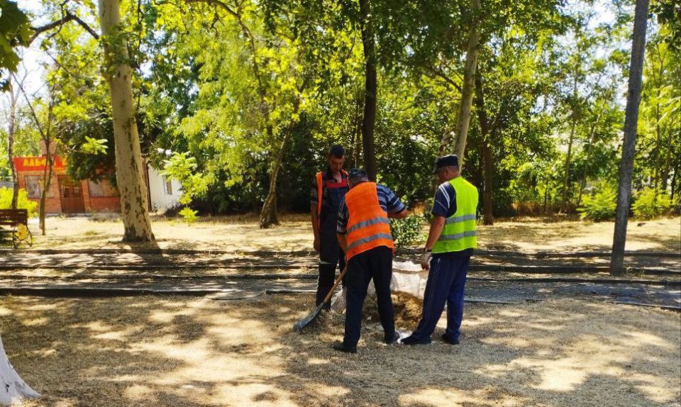 ��������� ������������� ���������� ������������ ������� � ������� � ������������ ������