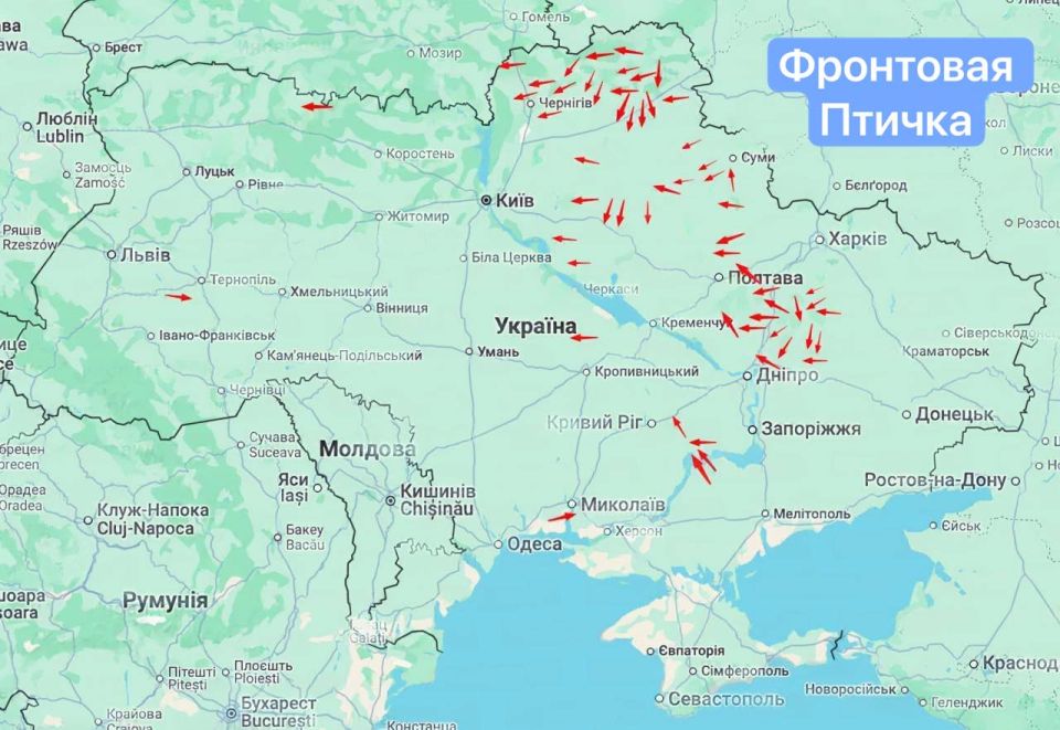 ����� ������ ������ �������� �� �������� ���