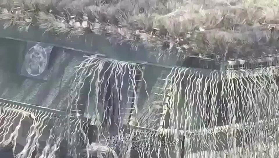 ����-��������: ��� ���� ��������� ������ �� ������