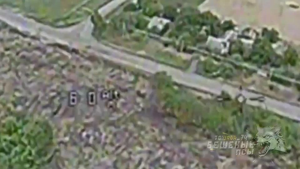 ���� ������ ����� ������ ����: ����� ����� � �� � ���