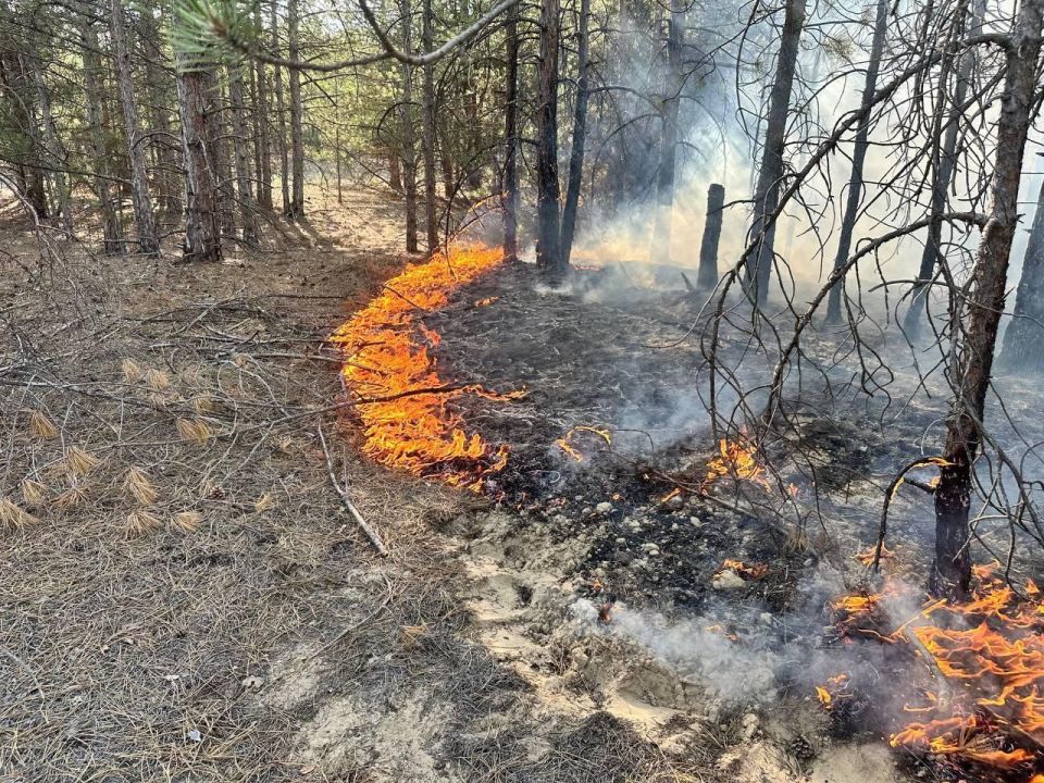 ������ ������ ���������� ������������� � ��������������� �������