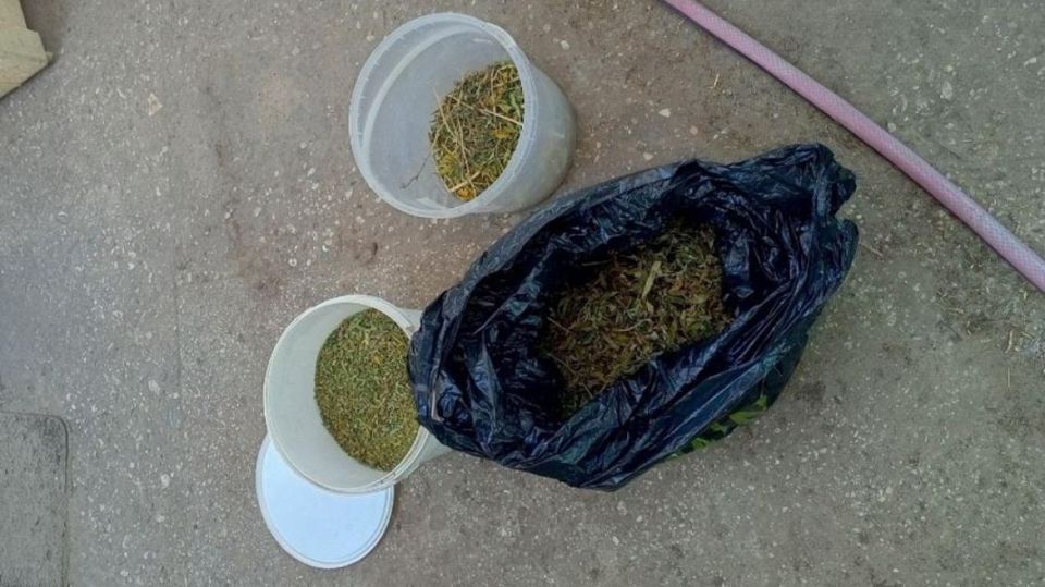 � ���������� ������� ����������� ������ ������ ��������� � �������� ������