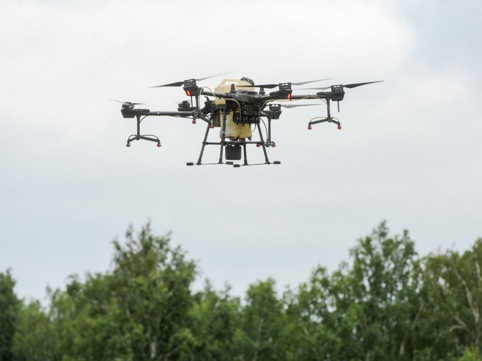 ����� ����� ��� � ������� ������� ����� ������ ����