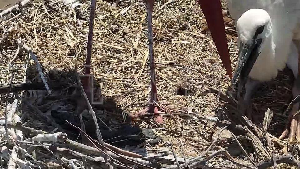 ����� � ���������� �������