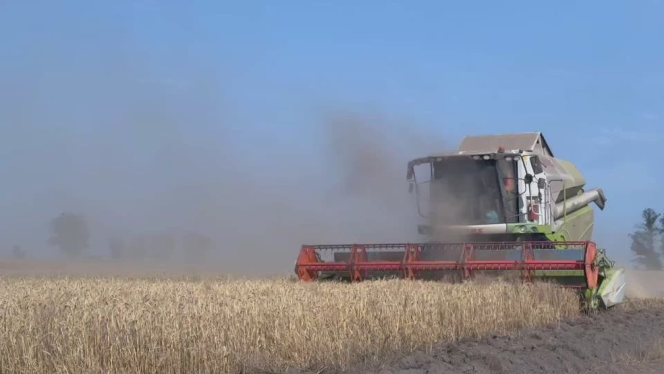 �������� ������: ������� � ����� ���������� � ������ ����� ����� ������ �����