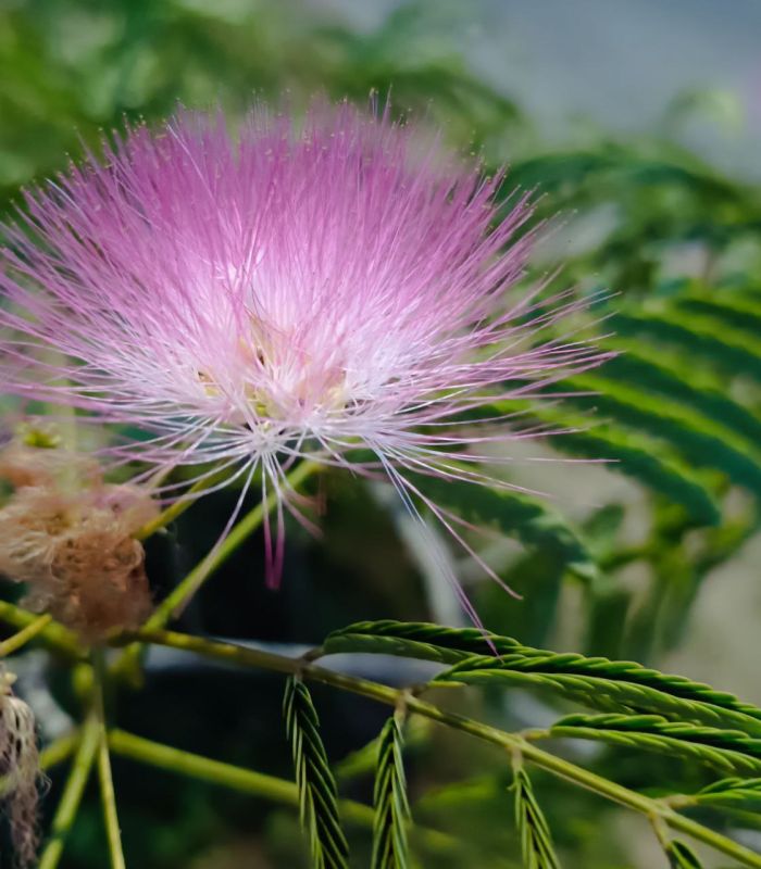 ������ ����, ��������� �����!