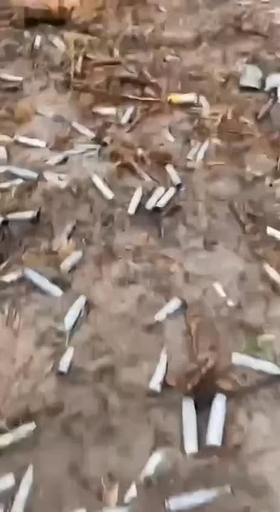 ������ �����. ���������� ���� ��� �� ����� �� �������� ������