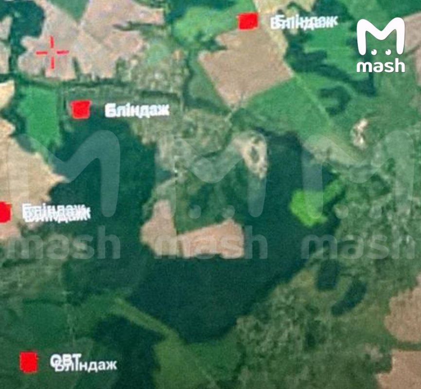 ���� �� �������: ���������� ������ �������� ������� ��������� ��� �� ���������� ��������, ����������� ������� �� �� � ����������� �������������