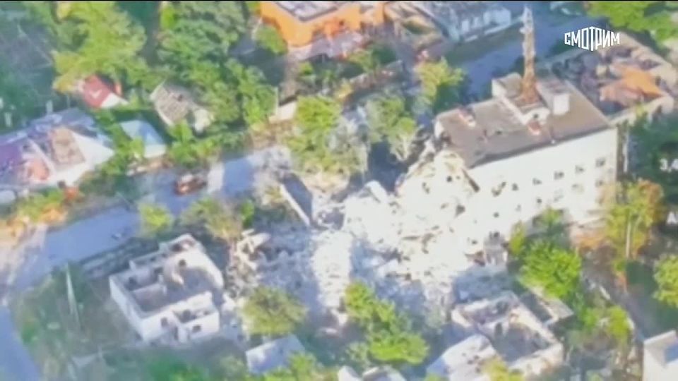 ����� ����������� � �������, ����������� ������ ���, ��������� � ������������ "������ 24"