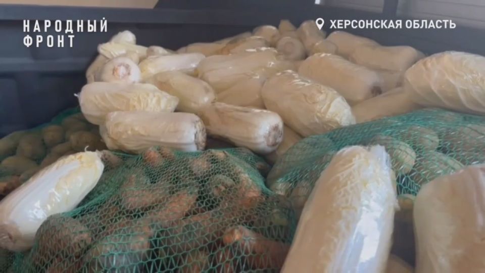 �������-����: ����� ������ �������, ���������� ������� �����