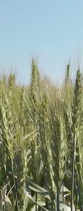 � ���������� �� ��������� ������ ��������������� �����!