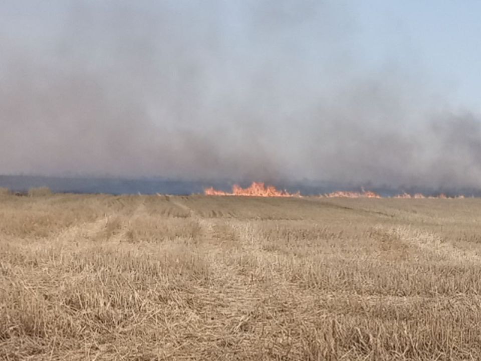 � ��������� ��������� ����� �������� �� 100 ��������