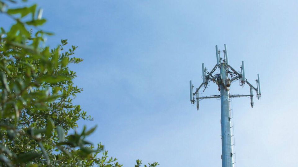 �� ���������� �������� � ���� �������� ��������� �����