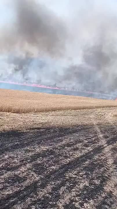 � ������������ ������� ������ ������