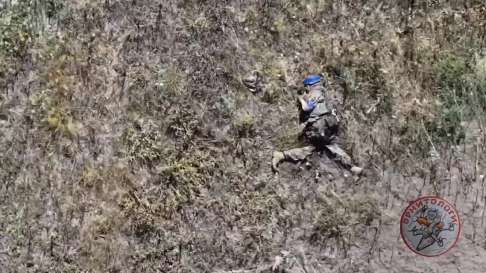 �������� ����� �������� ����� ����������� �� 247 ��� �� ��������� ���� � ������ ������ �� ����������� �����������