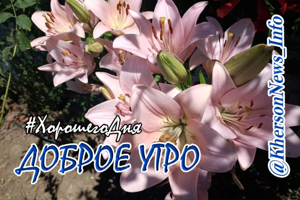 ������ ����, ������!. ����� �������� ����� �������� ���������� � ��������������