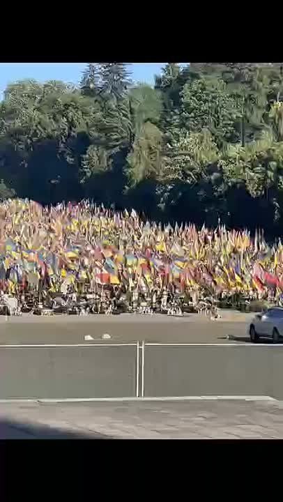 ���� �� �������: ��� "������" �������: ��� �������� �������� �� ������