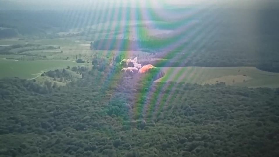 ���� �� �������: ���� �� ����� ����������� (���� �� �����) ���������������� ���� ��������� �� ���������� ��� ��, �����-500 � ���� ���� � ���������� 4� ���� ��������� ����� � ������� ���