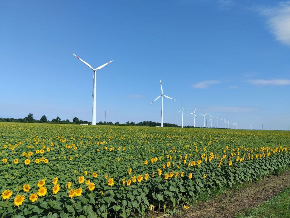 ������� ���� ���������. ���� ���� ����������� �� ����� ������ ��������, ������� ��������� ���� �������, ������� ������������