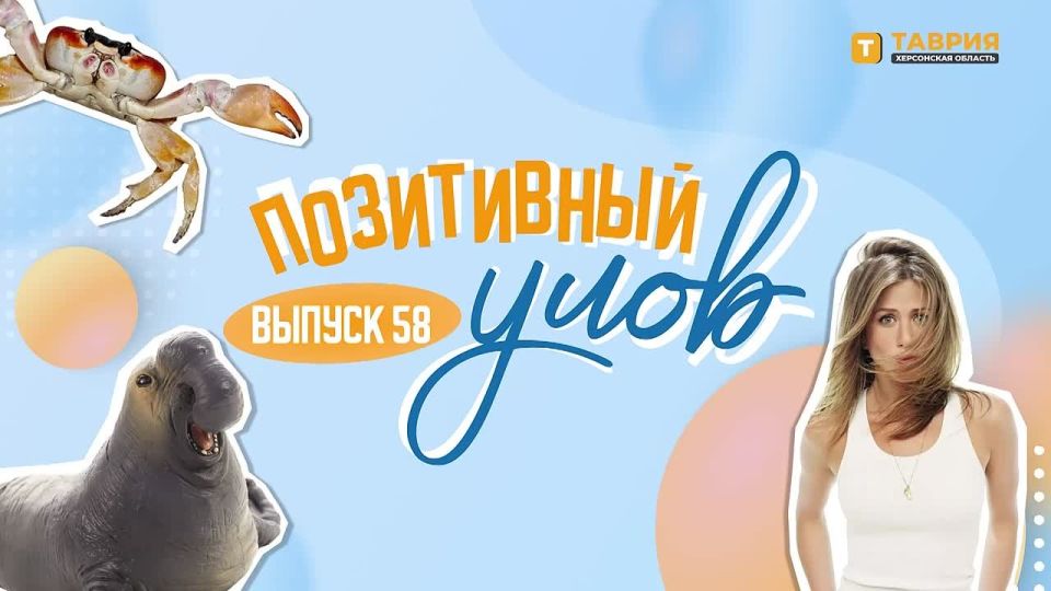 "���������� ����" � �������� ������������ �������� �� ����� ����