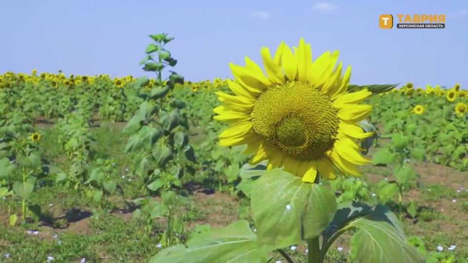 ����� 300 ���� ��������� ���������� ���������� ��������������������� ����� � ������� ���������