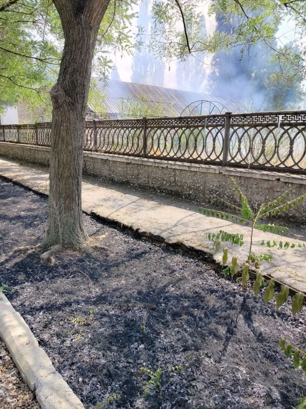 ���� �� �������: ������� � ���������� �������� ������ ����� � ������������� ��������� �� ���������� ����������������� ����� 1 �. ����� �������