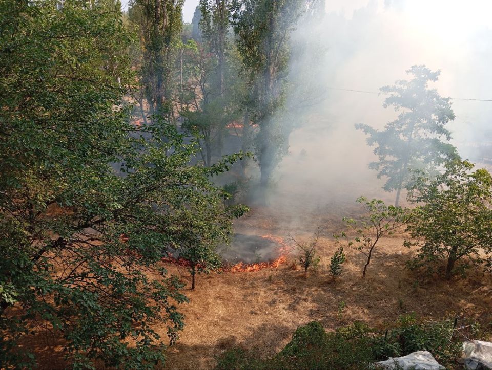 ����� ���� ������������� ������ ���� N36 �� ����� �������� � ����� ������� ����� ����� �����