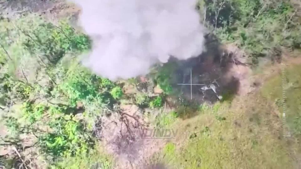 ��������� ��� "������", "����", "���" � "����" �� 69 ��������� ������� ��������� 35 ����� ����������� ����� "������" ��� ��������� ��������� �� 394 ��������������� ����� � �������� "���" ��������� �������� � ����� �����...