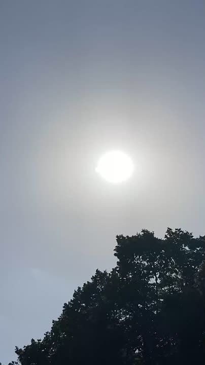 ������������ �������� �� ������ �� ��������� ��������� �������� � ����� ���� � +40 ����� � ������ ������!