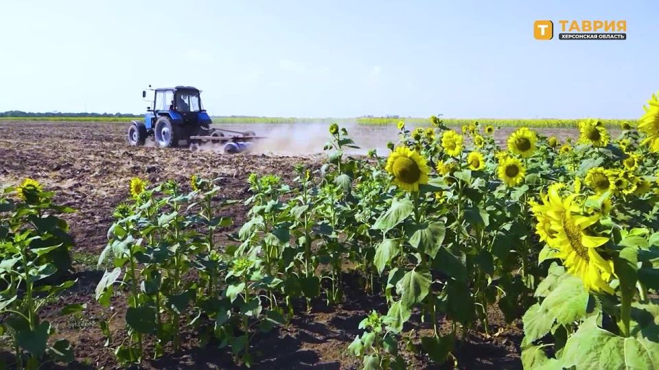 "������� � ����������": ��������������������� ����� � ������� ���������