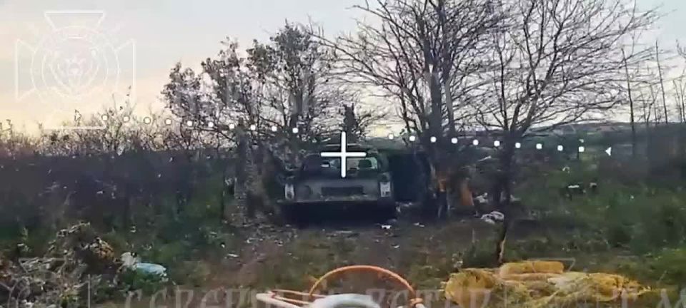 ��� �� ���������������� �����������: �������� ������ ����� ����������