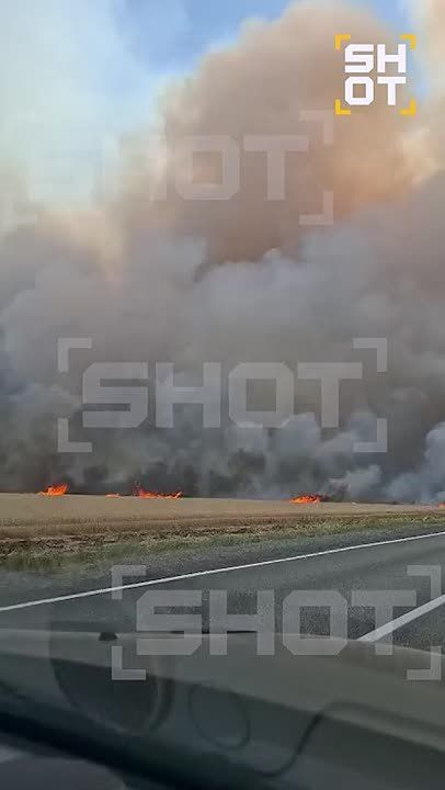 ������ �� ����������. ���� �����, ��� ������� ���������� ���������, ����� ����� ������� �� ���� � ������� ��������� ��!