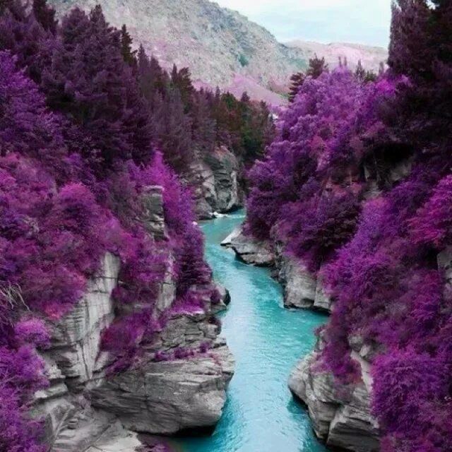 . ���� ��� �������