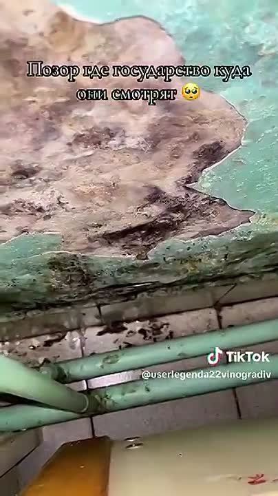 ���� �� �������: � ���������� ���� ������� � ������� ������