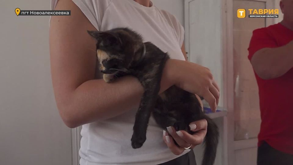 ���������� ������������ ������ ���������� ������ ���������� �������� � ��������������