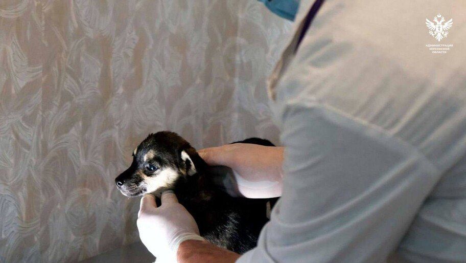 ���� �������, �������. ��������� ���������� ������ ����� ��������� �������� � ��������������