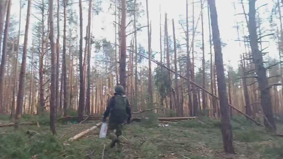 ����������� ������� ���� � ������� �������