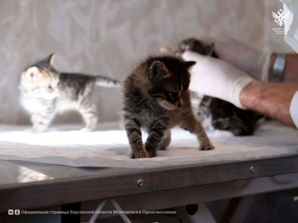 � ���������� ��� ����������� �����������-���������� ������ ���������� ���������� ������ ������ �������� � ���������� �������