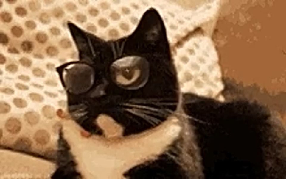 ������� - ������� �� ������! �� �� ������ ������, ����� ���� � ����������� ��� ���� �� ���������? ����� ����������� �� �� ������ ��� ���� ���������? �������� �� ��� �����