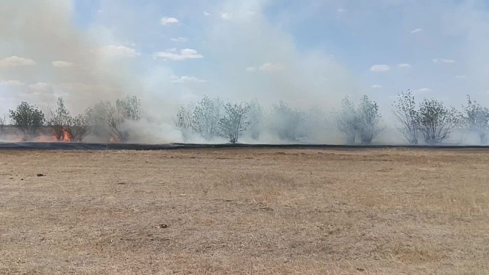 ������� ������ ������������� ����� ������ ������ � ���� �������