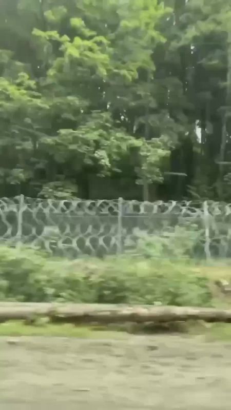 ���� �� �������: ������� ������ ������� ��������� �� ������� ������ � ������������ ������� �������� �������