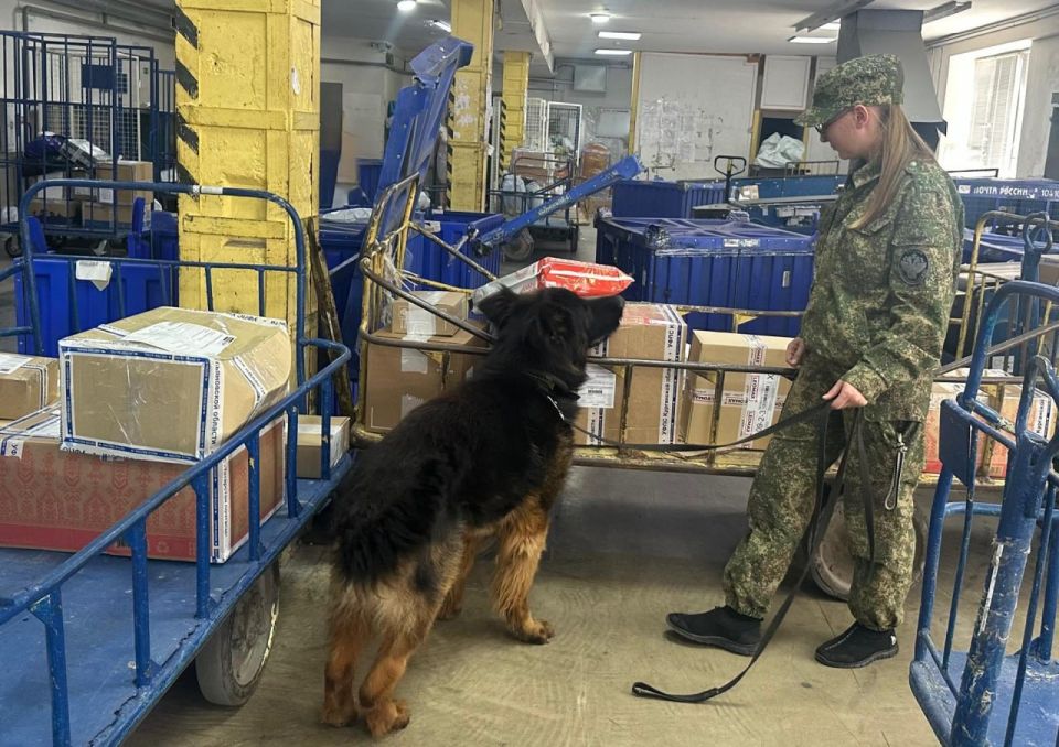 �������� ������� ���������� � �������� � ������������ ��� ���������� ������������� �������� �����������