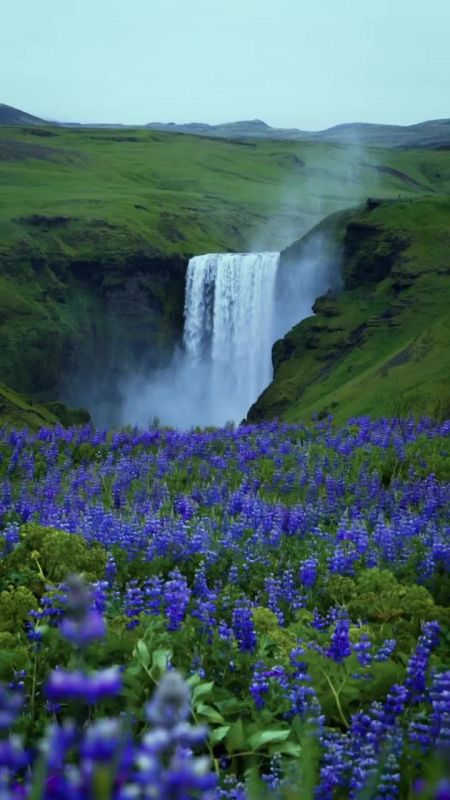 . ���� � �������