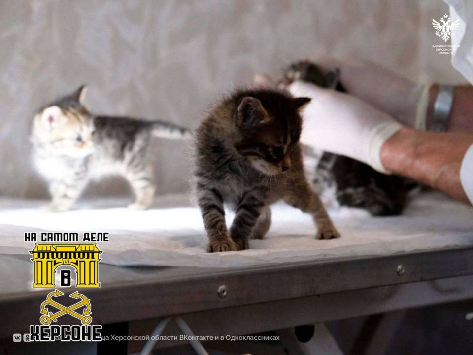 � ���������� ��� ����������� �����������-���������� ������ ����������, � ��� �������������� �������� ������������ ������ �������� ����� � ������, ���������� ��� ���������